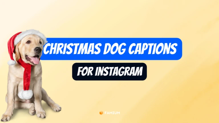 Dog Instagram Captions for Christmas